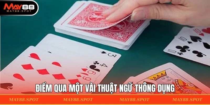 Điểm qua một vài thuật ngữ thông dụng