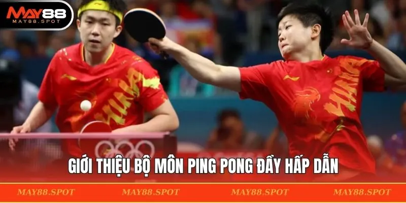Giới thiệu bộ môn ping pong đầy hấp dẫn