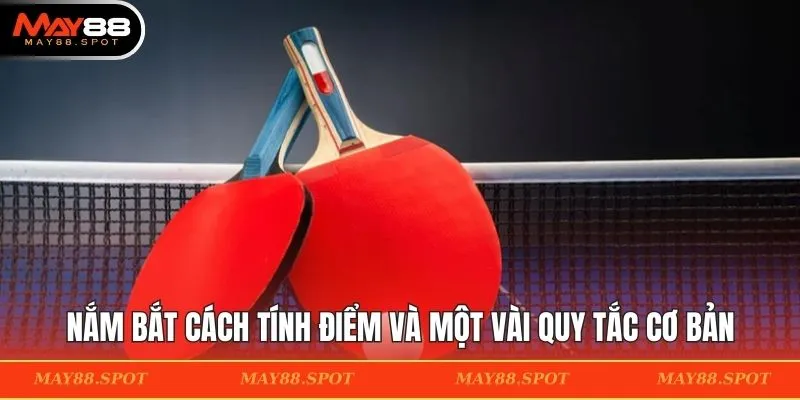 Nắm bắt cách tính điểm và một vài quy tắc cơ bản