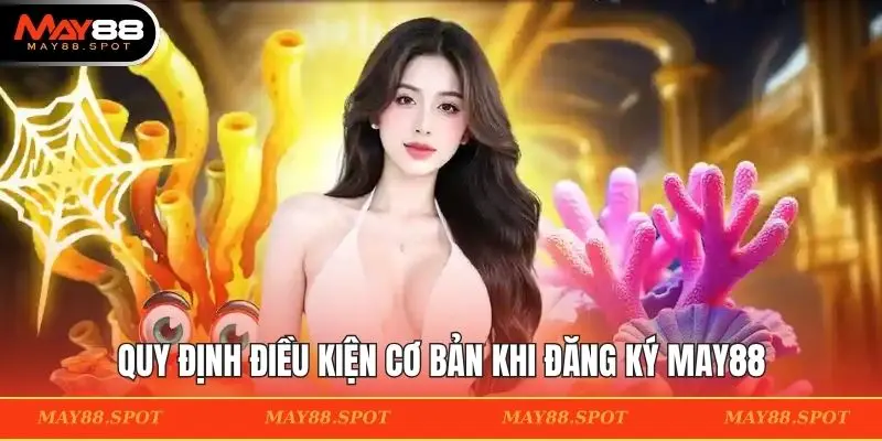 Quy định điều kiện cơ bản khi đăng ký MAY88